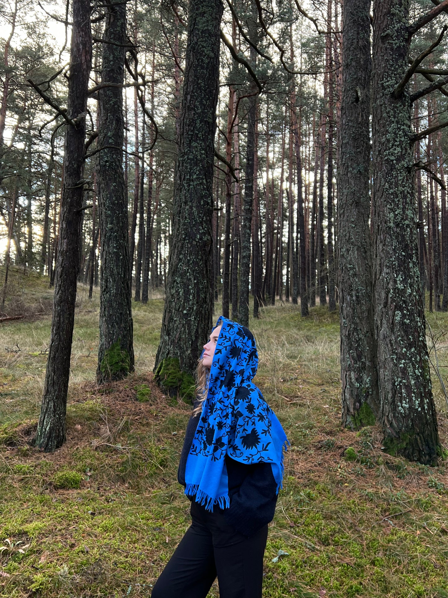 Zila šalle no Kašmīras, Indijas - 100% rokudarbs